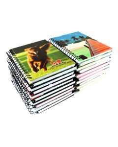 Caderneta Capa Dura Sortida 1/8 96 fls Panamericana PT 20 un