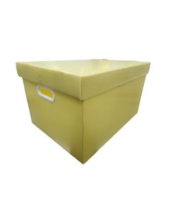 Caixa Organizadora Grande Amarelo Pastel Golden Kraft