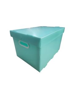Caixa Organizadora Grande Verde Pastel Golden Kraft