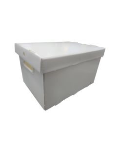 Caixa Organizadora Pequena Branco Golden Kraft