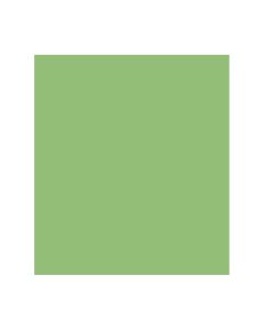 Papel Color Plus 50cm x 65cm 185g Maçã Verde Canson - 1 un