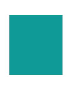 Papel Color Plus 50cm x 65cm 185g Mar Caribe Canson - 1 un