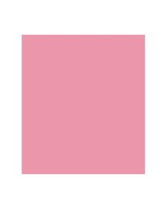 Papel Color Plus 50cm x 65cm 185g Rosa Chiclete Canson - 1 un
