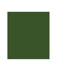 Papel Color Plus 50cm x 65cm 185g Verde Amazonas Canson - 1 un