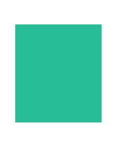 Papel Color Plus 50cm x 65cm 185g Verde Menta Canson - 1 un