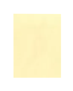 Papel Color Set 48cm x 66cm Bege Premiatta 1 unid.