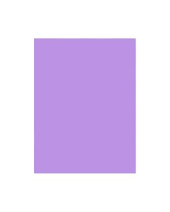 Papel Color Set 48cm x 66cm Lilás Premiatta PT c/20 un