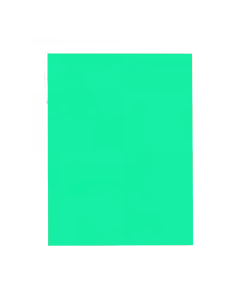 Papel Color Set 48cm x 66cm Verde Claro Premiatta 1 unid.