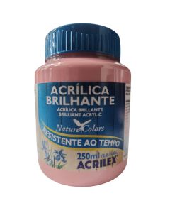 Tinta Acrílica Brilhante Rosa 250ml Acrilex