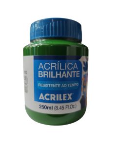 Tinta Acrílica Brilhante Verde Musgo 250ml Acrilex