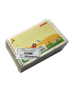 Caderno de Desenho 40 fls Capa Flexível 1/4 PanAmericana PT 15 un