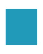 Papel Color Plus 50cm x 65cm 185g Azul Royal Canson - 1 un