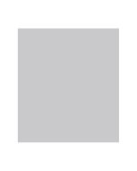 Papel Color Plus 50cm x 65cm 185g Cinza Claro Canson - 1 un