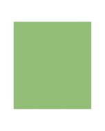 Papel Color Plus 50cm x 65cm 185g Maçã Verde Canson - 1 un