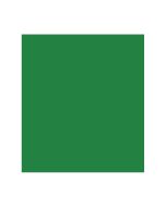 Papel Color Plus 50cm x 65cm 185g Verde Escuro Canson - 1 un