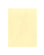 Papel Color Set 48cm x 66cm Bege Premiatta 1 unid.