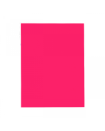 Papel Color Set 48cm x 66cm Pink Premiatta 1 unid.