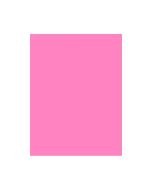 Papel Color Set 48cm x 66cm Rosa Fluorescente Premiatta 1 unid.
