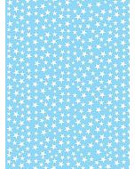 Papel Color Set Estampado 48cm x 66cm ref. 11 Premiatta PT c/20 Un